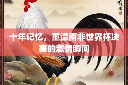 十年记忆，重温南非世界杯决赛的激情瞬间