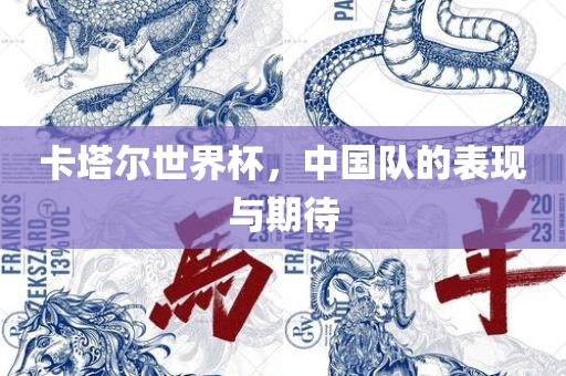 卡塔尔世界杯，中国队的表现与期待