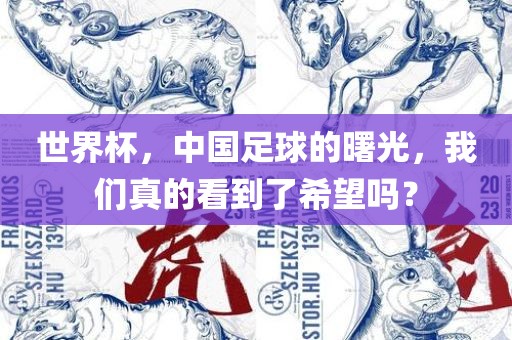 世界杯，中国足球的曙光，我们真的看到了希望吗？漯河市盈旭机械设备有限公司