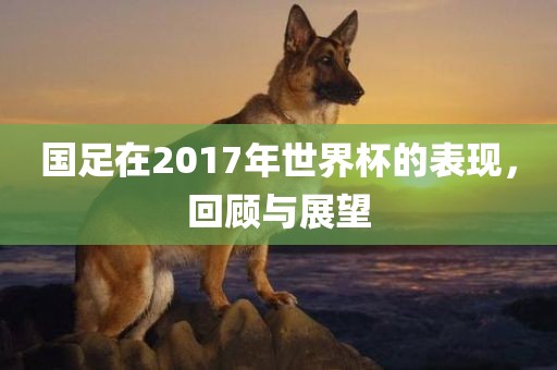 国足在2017年世界杯的表现，回顾与展望