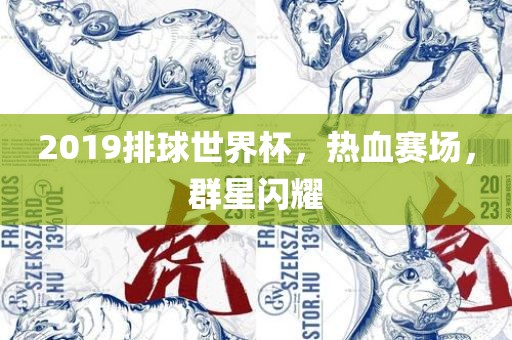 2019排球世界杯，热血赛场，群星闪耀