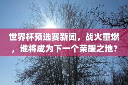世界杯预选赛新闻，战火重燃，谁将成为下一个荣耀之地？