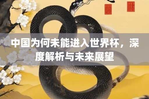 中国为何未能进入世界杯，深度解析与未来展望