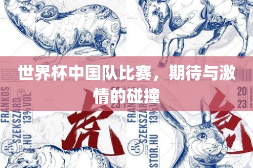 世界杯中国队比赛，期待与激情的碰撞漯河市盈旭机械设备有限公司