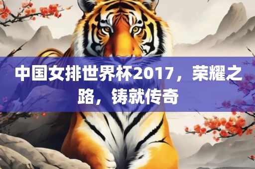 中国女排世界杯2017，荣耀之路，铸就传奇