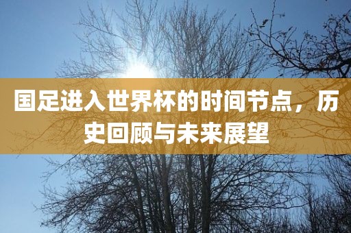 国足进入世界杯的时间节点，历史回顾与未来展望