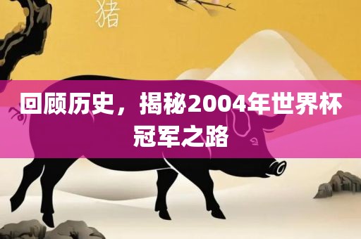 回顾历史，揭秘2004年世界杯冠军之路