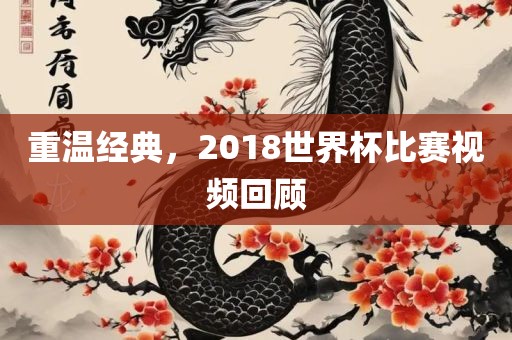 重温经典，2018世界杯比赛视频回顾