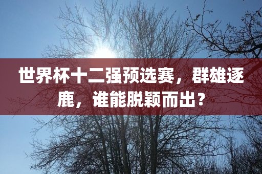 世界杯十二强预选赛，群雄逐鹿，谁能脱颖而出？
