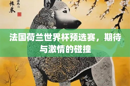 法国荷兰世界杯预选赛，期待与激情的碰撞漯河市盈旭机械设备有限公司