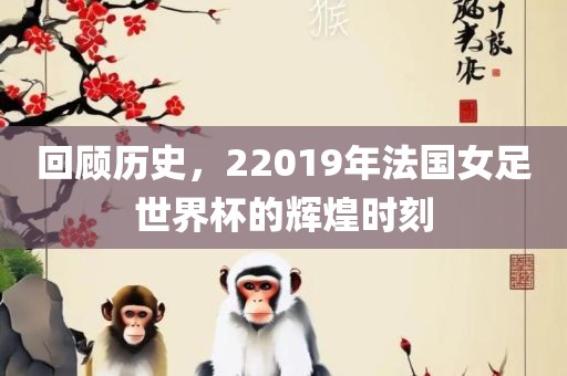 回顾历史，22019年法国女足世界杯的辉煌时刻