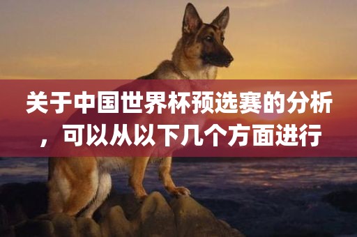 关于中国世界杯预选赛的分析，可以从以下几个方面进行
