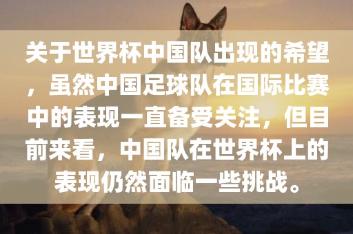 关于世界杯中国队出现的希望，虽然中国足球队在国际比赛中的表现一直备受关注，但目前来看，中国队在世界杯上的表现仍然面临一些挑战。漯河市盈旭机械设备有限公司