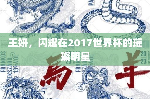王妍，闪耀在2017世界杯的璀璨明星
