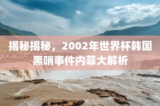 揭秘揭秘，2002年世界杯韩国黑哨事件内幕大解析