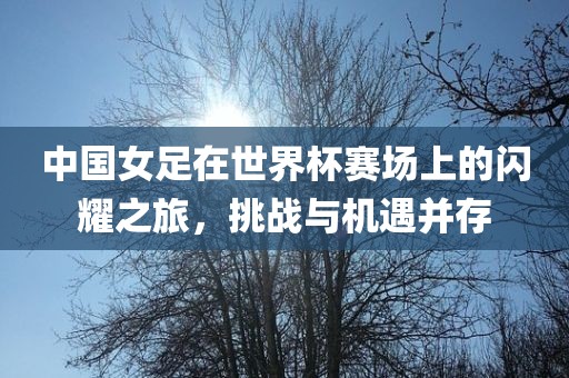 中国女足在世界杯赛场上的闪耀之旅，挑战与机遇并存