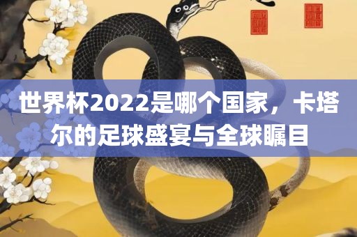 世界杯2022是哪个国家，卡塔尔的足球盛宴与全球瞩目