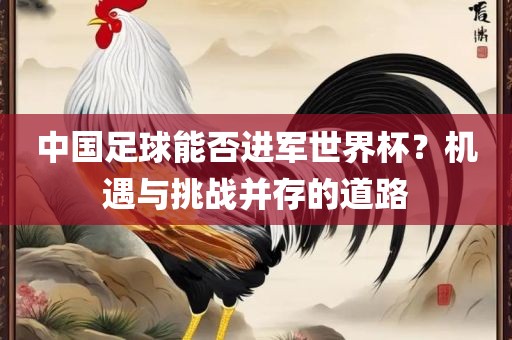 中国足球能否进军世界杯？机遇与挑战并存的道路