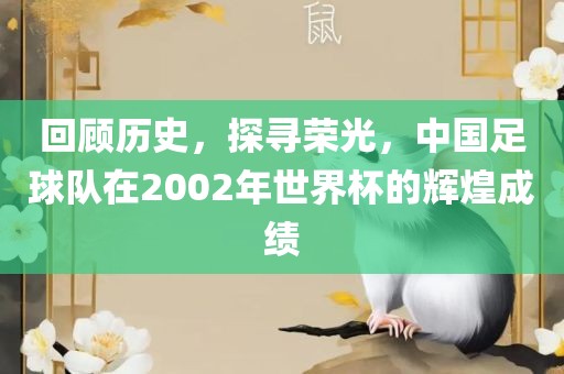 回顾历史，探寻荣光，中国足球队在2002年世界杯的辉煌成绩