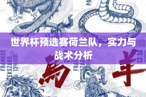 世界杯预选赛荷兰队，实力与战术分析