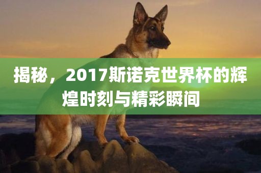 揭秘，2017斯诺克世界杯的辉煌时刻与精彩瞬间
