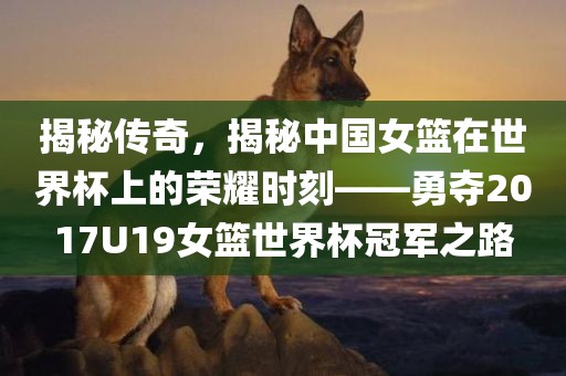 揭秘传奇，揭秘中国女篮在世界杯上的荣耀时刻——勇夺2017U19女篮世界杯冠军之路