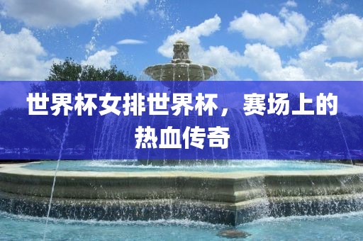 世界杯女排世界杯，赛场上的热血传奇