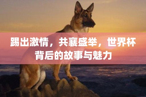 踢出激情，共襄盛举，世界杯背后的故事与魅力