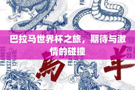 巴拉马世界杯之旅，期待与激情的碰撞漯河市盈旭机械设备有限公司