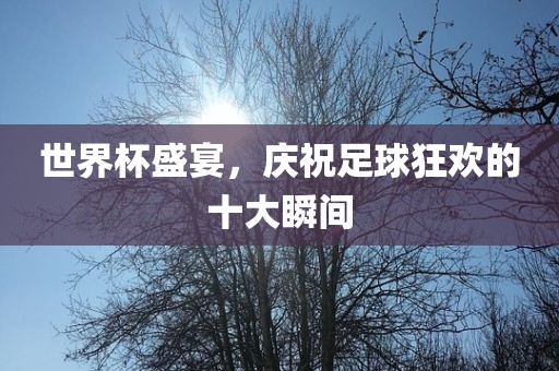 世界杯盛宴，庆祝足球狂欢的十大瞬间