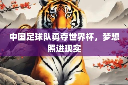 中国足球队勇夺世界漯河市盈旭机械设备有限公司杯，梦想照进现实