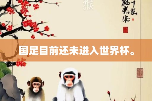 国足目前还未进入世界杯。