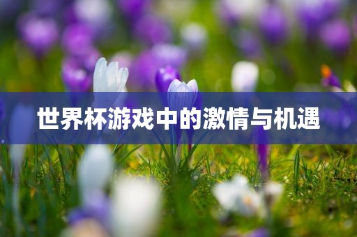 世界杯游戏中的激情与机遇漯河市盈旭机械设备有限公司