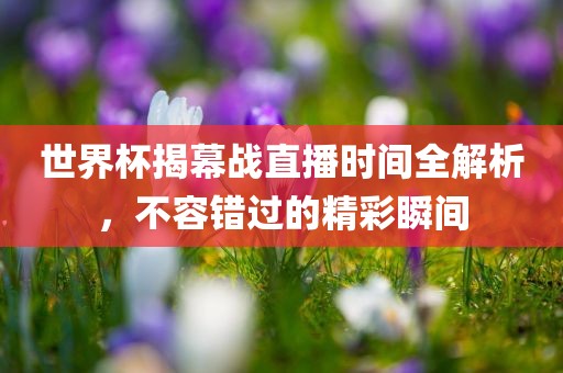 世界杯揭幕战直播时间全解析，不容错过的精彩瞬间