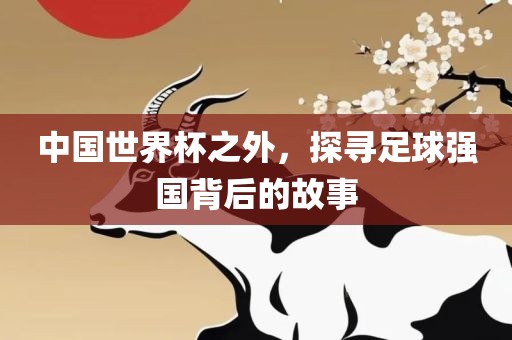 中国世界杯之外，探寻足球强国背后的故事