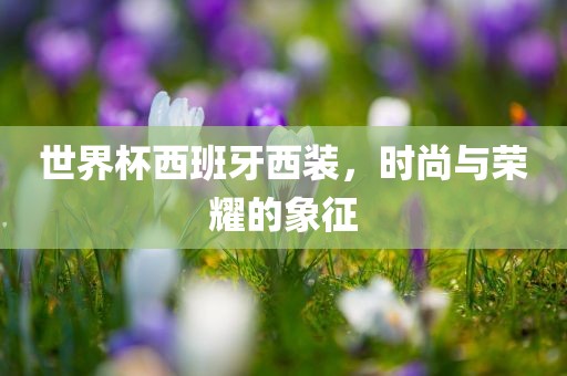 世界杯西班牙西装，时尚与荣耀的象征