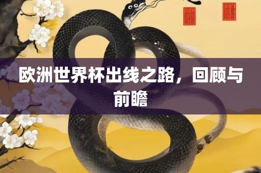 欧洲世界杯出线之路，回顾与前瞻