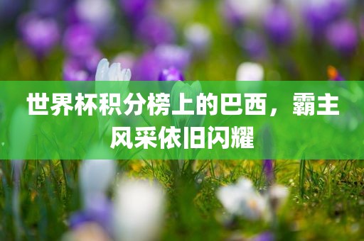 世界杯积分榜上的巴西，霸主风采依旧闪耀