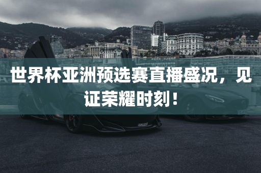 世界杯亚洲预选赛直播盛况，见证荣耀时刻！