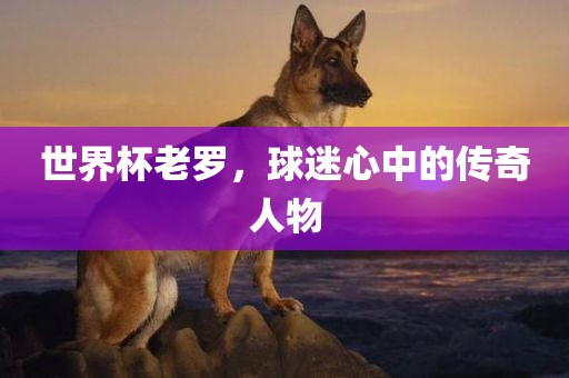 世界杯老罗，球迷心中的传奇人物