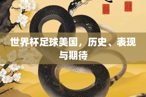 世界杯足球美国，历史、表现与期待
