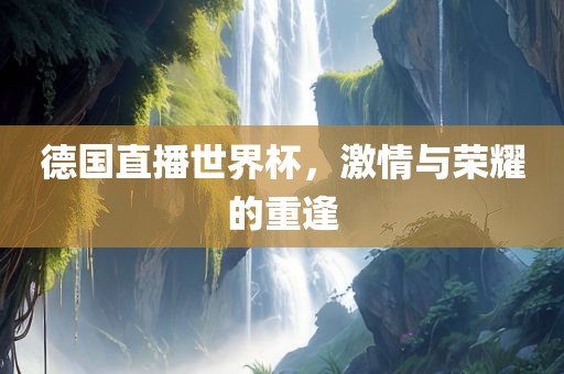 德国直播世界杯，激情与荣耀的重逢漯河市盈旭机械设备有限公司