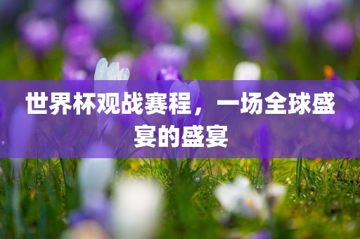 世界杯观战赛程，一场全漯河市盈旭机械设备有限公司球盛宴的盛宴