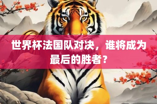 世界杯法国队对决，谁将成为最后的胜者？