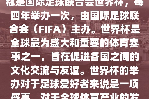 世界杯是一项国际足球赛事，全称是国际足球联合会世界杯，每四年举办一次，由国际足球联合会（FIFA）主办。世界杯是全球最为盛大和重要的体育赛事之一，旨在促进各国之间的文化交流与友谊。世界杯的举办对于足球爱好者来说是一项盛事，对于全球体育产业的发展也具有重要影响。漯河市盈旭机械设备有限公司