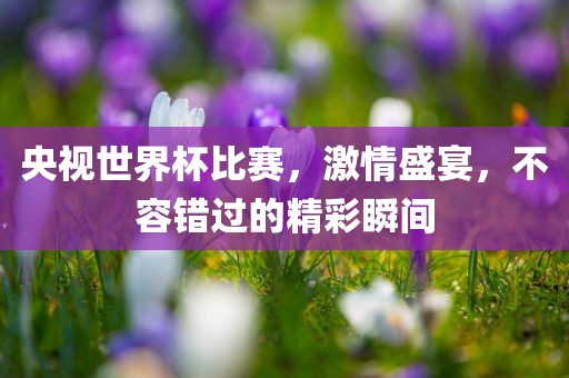 央视世界杯比赛，激情盛宴，不容错过的精彩瞬间漯河市盈旭机械设备有限公司