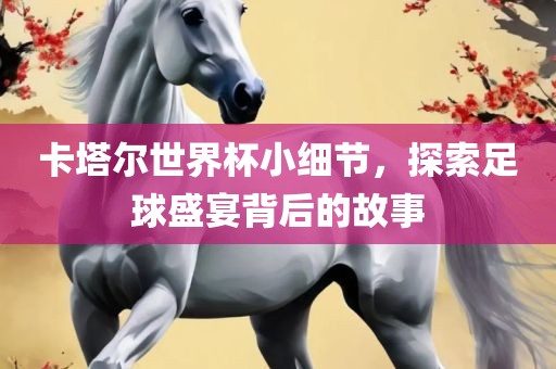 卡塔尔世界杯小细节，探索足球盛宴背后的故事