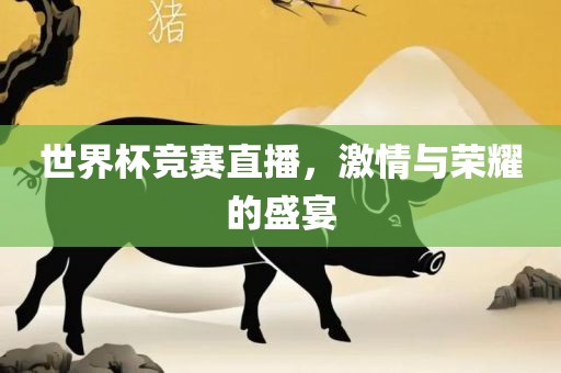 世界杯竞赛直播，激情与荣耀的盛宴