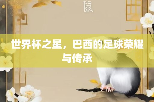 世界杯之星，巴西的足球荣耀与传承