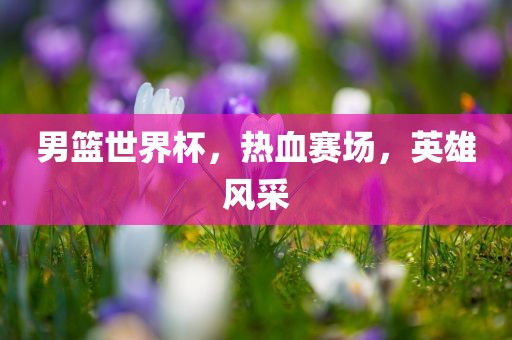 男篮世界杯，热血赛场，英雄风采
